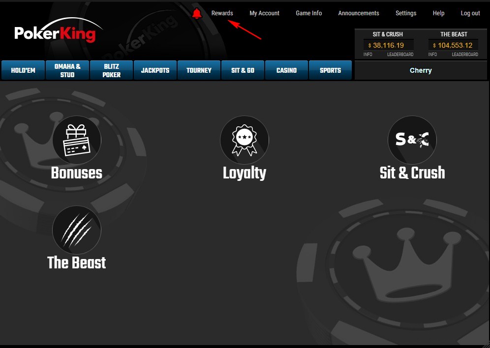 100% тест-драйв PokerKing — проверяем службу поддержки, депозиты-кэшауты, верификацию и поле игроков 17