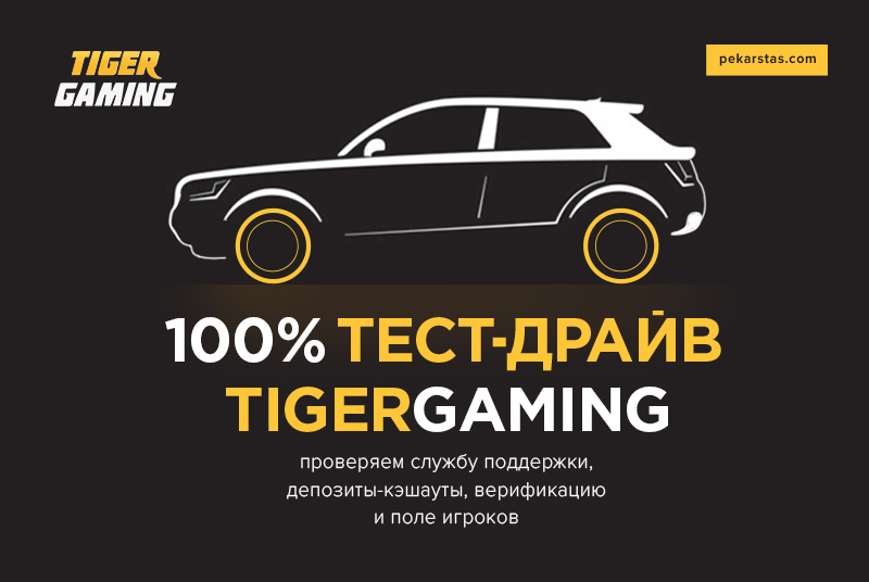 Тест-драйв TigerGaming