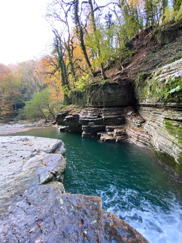 природа в сочи