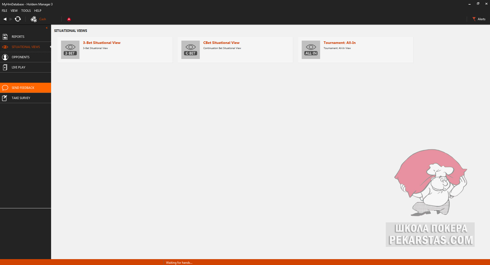 situational-views-holdem-manager-3